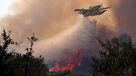 El incendio de Ávila arrasa 50.000 hectáreas y se convierte en el más devastador de la historia