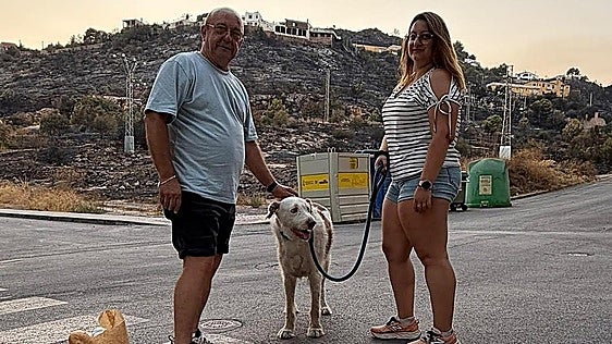 Los primeros evacuados del incendio en volver a la Vall d'Uixó (Castellón): «Huele todo a humo. Tendré que dormir con mascarilla»