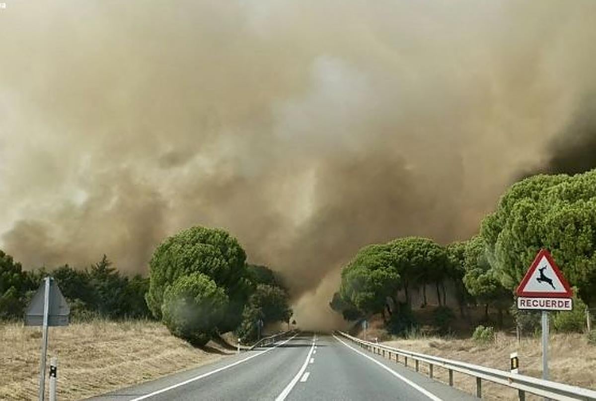 Detenidos dos hombres como presuntos autores del incendio de Almorox, Toledo