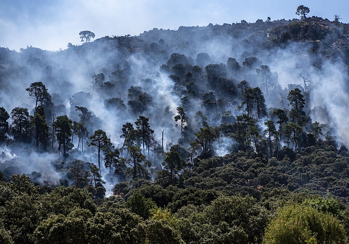 Bulos sobre el monte que avivan el fuego