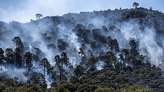 Bulos sobre el monte que avivan el fuego