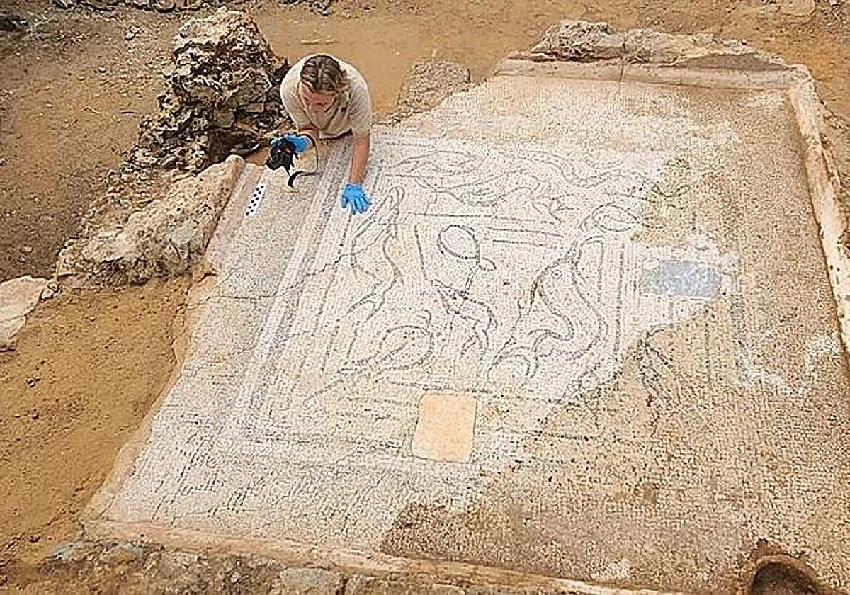 Una trabajadora del Consorcio de la Ciudad Monumental realiza fotografías al mosaico descubierto en la Ciudad de la Infancia.