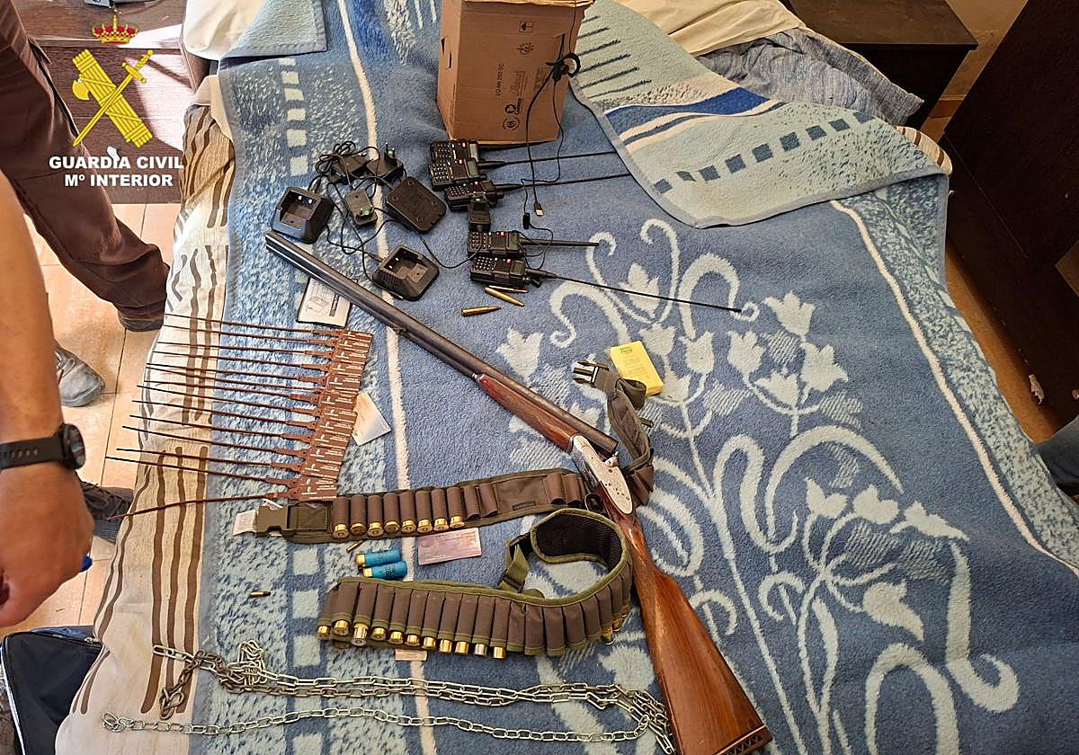 Detenidos tres hombres en Cuenca por matar a tiros a un lince ibérico para favorecer la caza menor