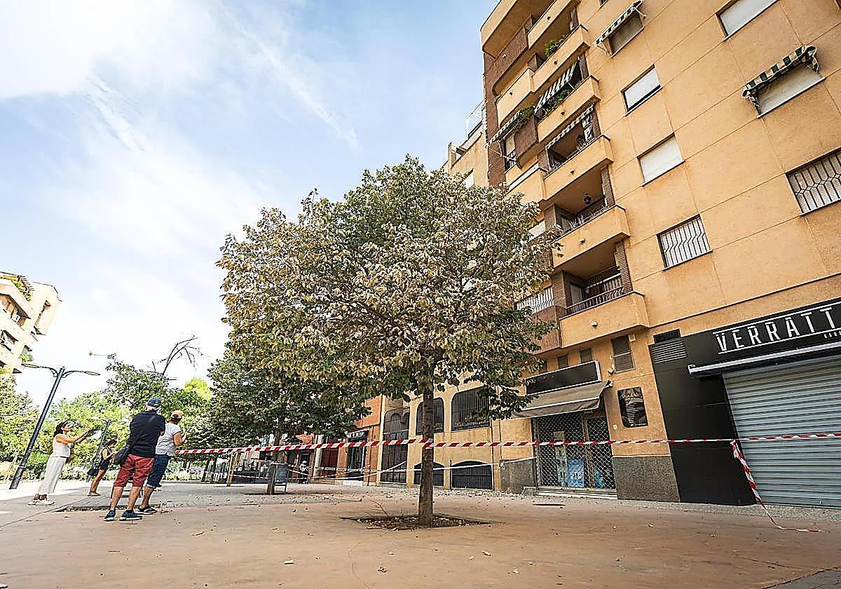 Granada trata de recuperar la normalidad mientras gestiona más de 3.000 incidencias derivadas de los terremotos