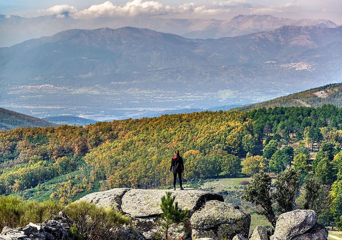 Se busca a un león por una zona de montaña de Toledo
