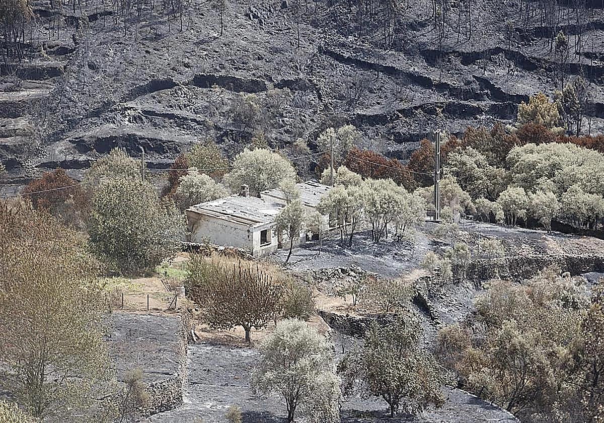El incendio de Las Hurdes se da por extinguido ocho días después
