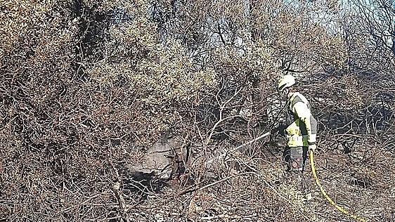 Valencia reabre este lunes la carretera y las playas del Saler tras el incendio