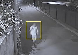 Captura del vídeo de las cámaras de seguridad.