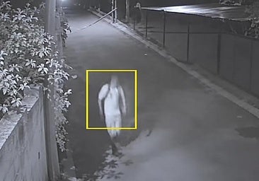 Captura del vídeo de las cámaras de seguridad.