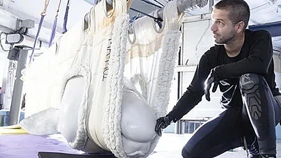Muere Jelly Bean, una de las belugas rescatadas por el Oceanogràfic en Canadá
