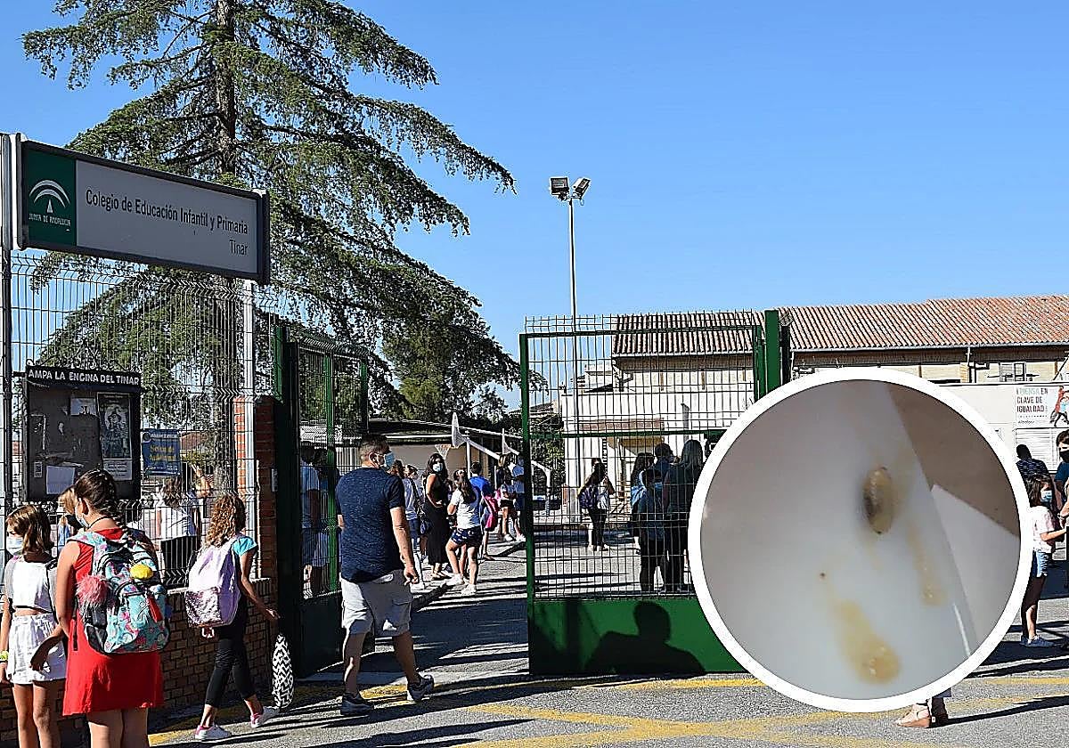 Hallan gusanos en el arroz en el comedor de un colegio de Granada