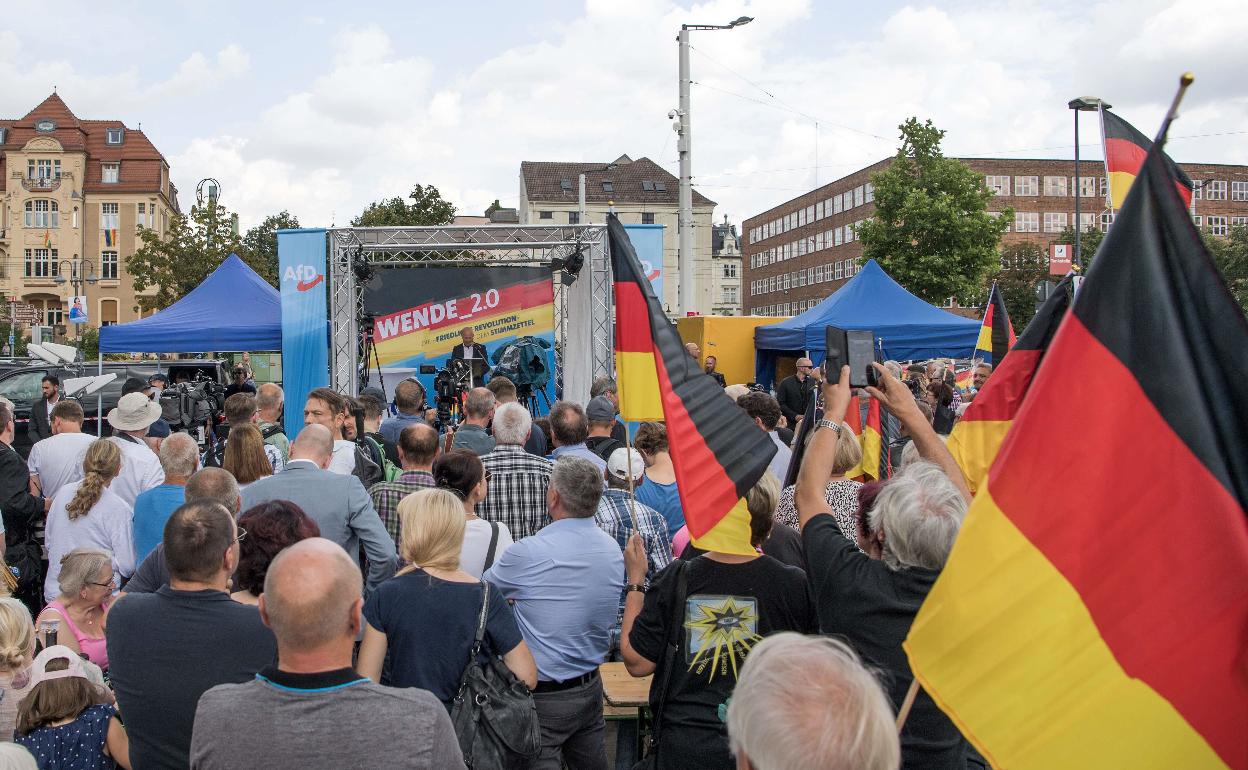 Manifestación de la extrema derecha alemana.