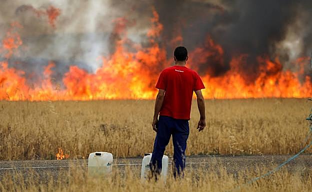 Catorce personas atendidas por los incendios de Zamora y León