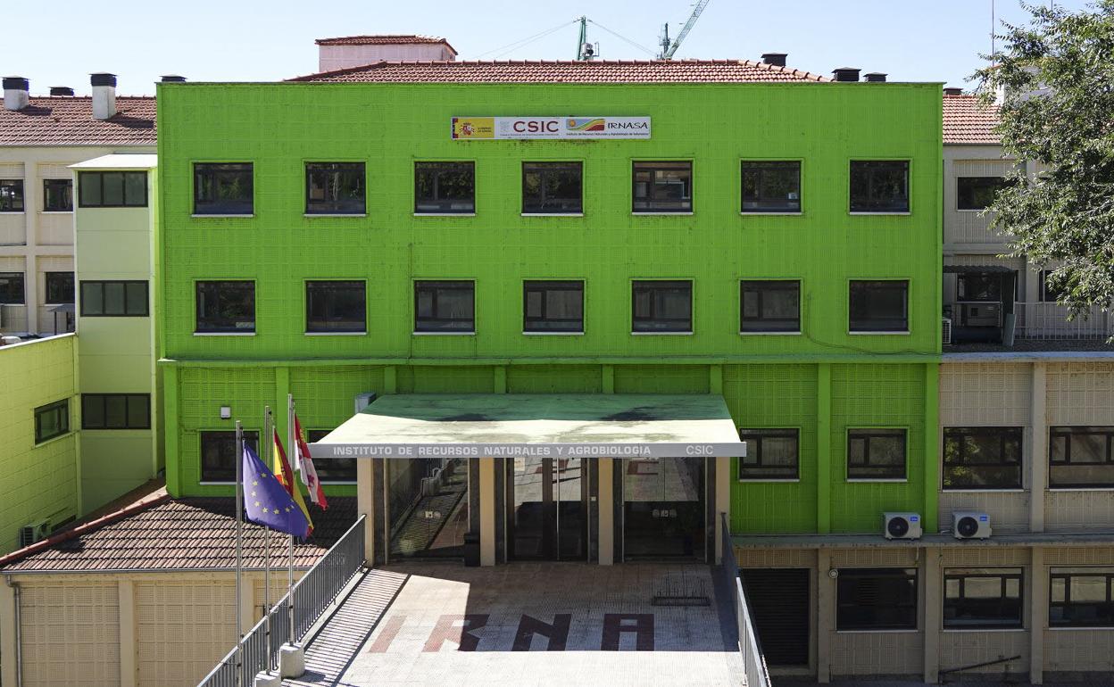 La nueva sede del Instituto de Recursos Naturales y Agrobiología recibirá seis millones de euros. 