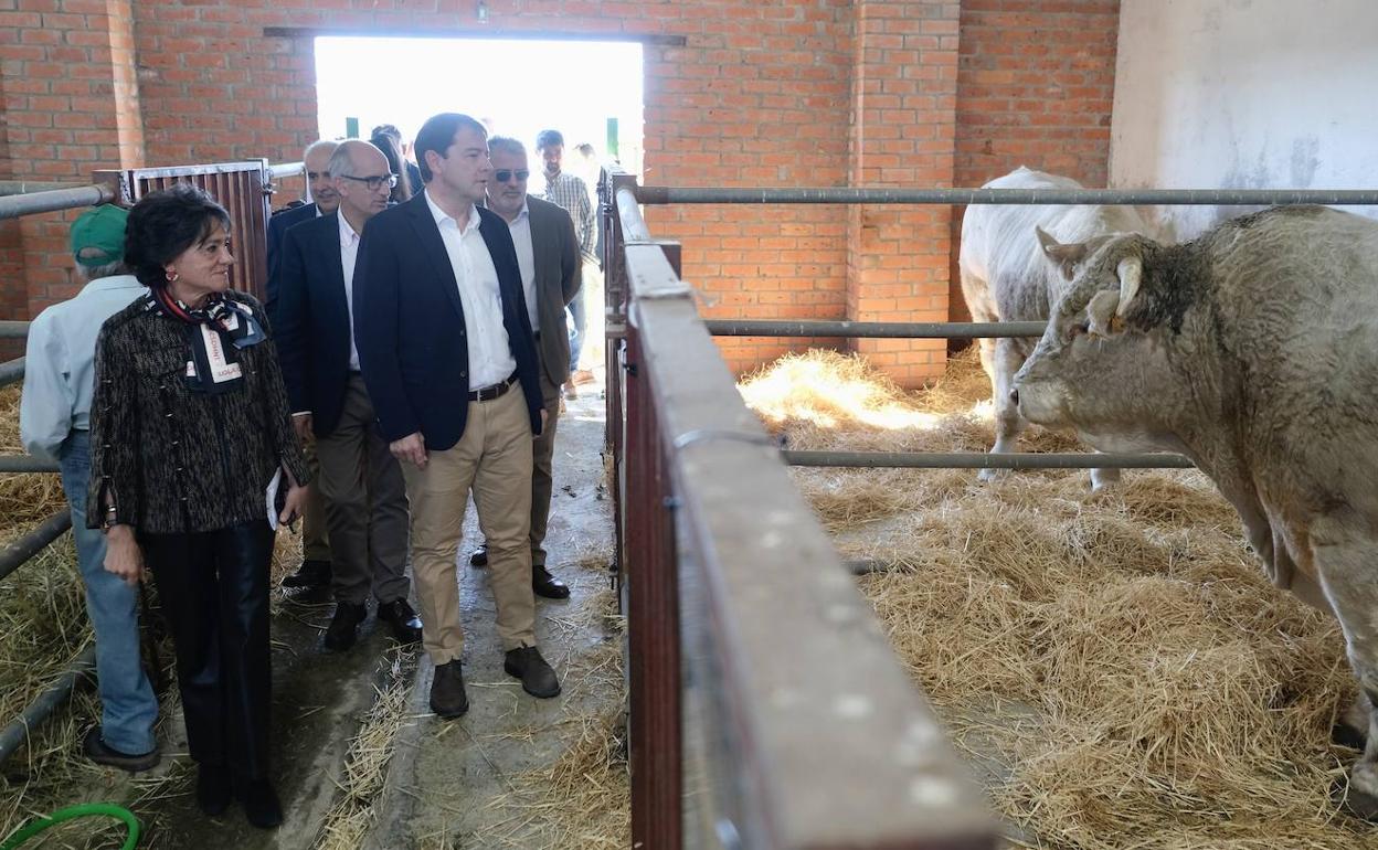 Mañueco, este sábado en la inauguración de la Feria de Ganado en Vitigudino. 