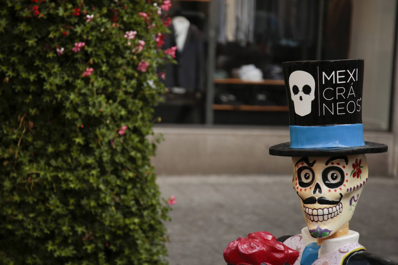 Fotos: Cráneos enormes se instalan en el centro de Salamanca