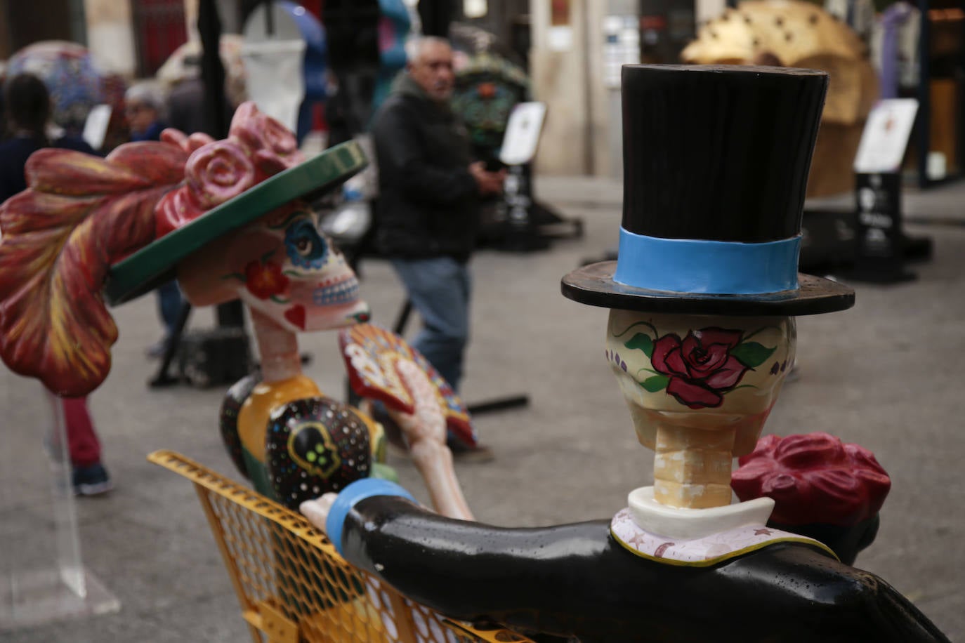 Fotos: Cráneos enormes se instalan en el centro de Salamanca