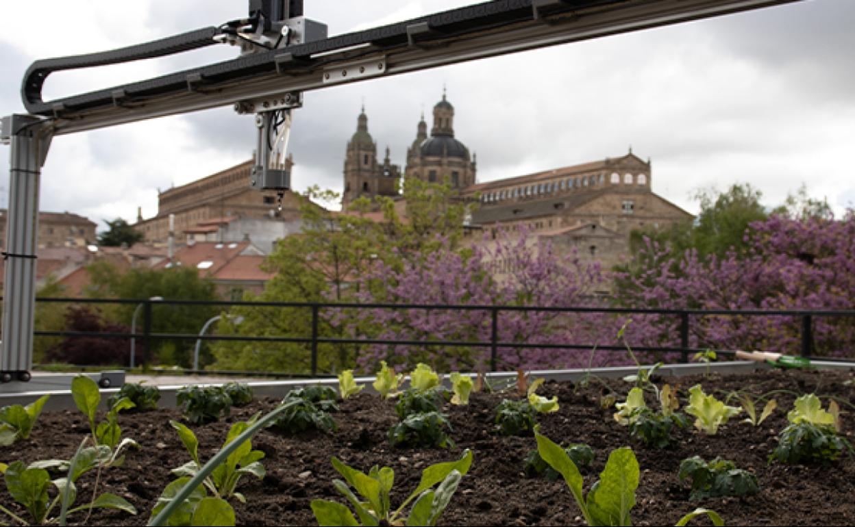El ranking analiza el impacto medioambiental y social de cada institución.