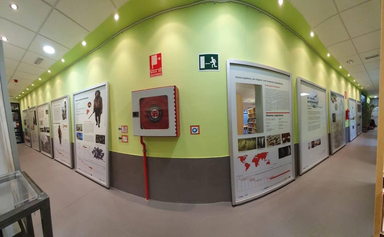 Interior de la Biblioteca Pública de Villamayor. 