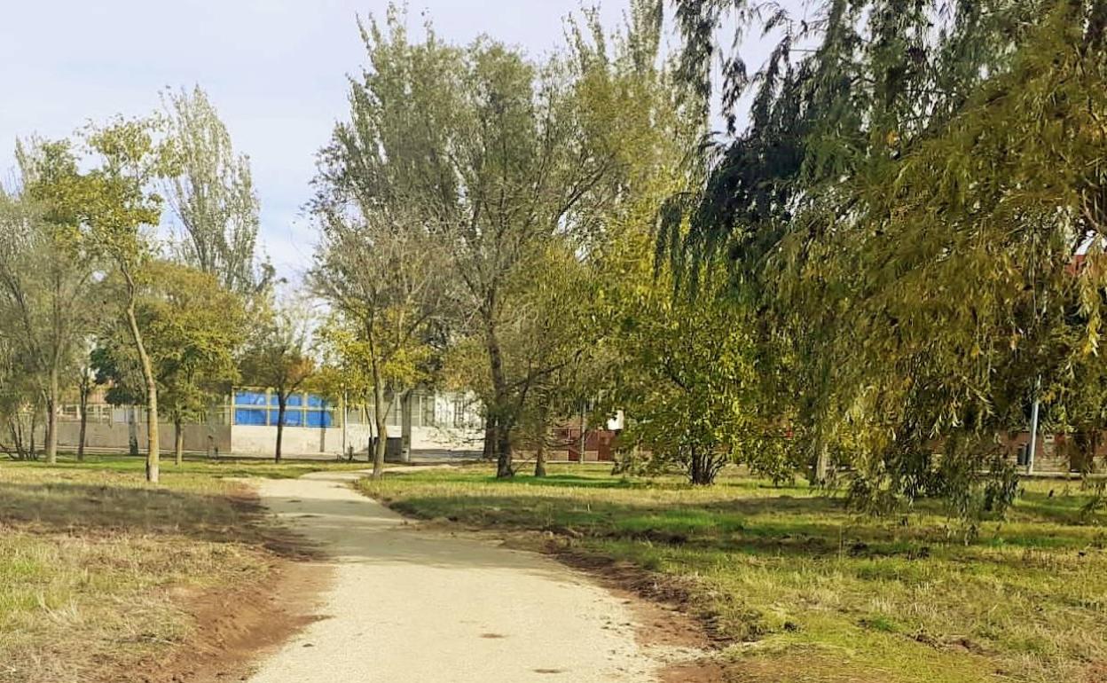 Imagen de la zona del Paseo de Las Dehesas.