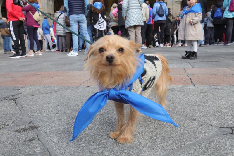 Fotos: Marcha por la diabetes en Salamanca