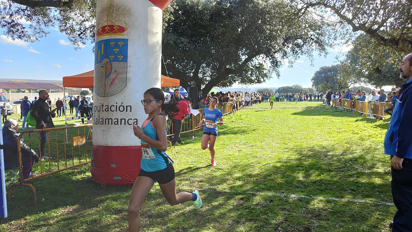 Fotos: VI Carrera Popular Taurina y I Jornada de Juegos Escolares de Campo a Través