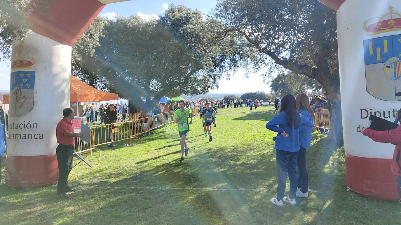 Fotos: VI Carrera Popular Taurina y I Jornada de Juegos Escolares de Campo a Través