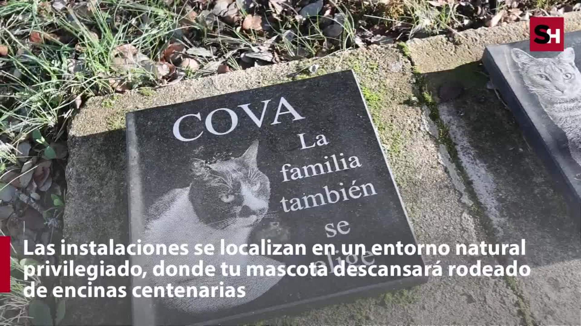 El cementerio de mascotas en un pueblo de Salamanca