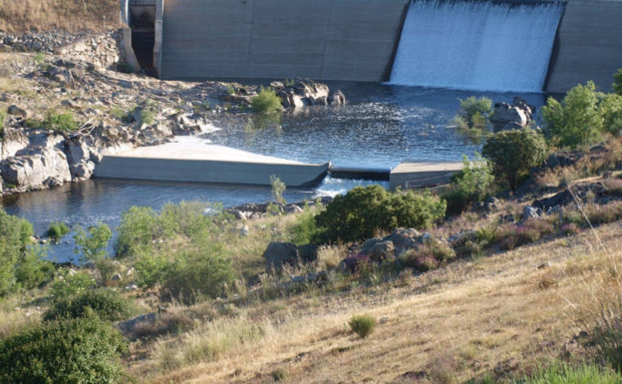 El río Tormes a su paso por Cespedosa. 