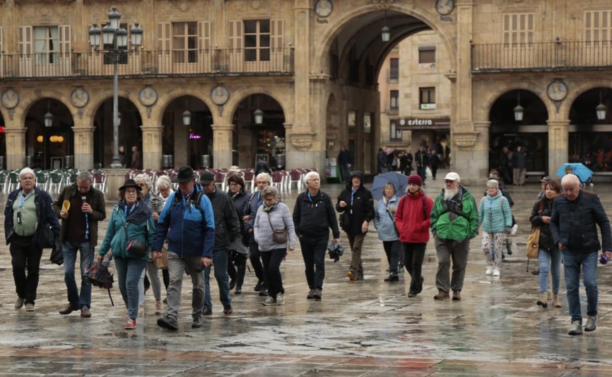 Un grupo de turistas pasea por la Plaza Mayor de Salamanca. 