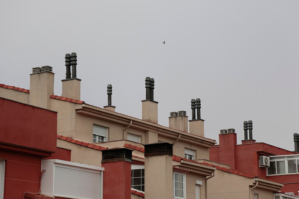 Fotos: Otra mirada a Salamanca (VI). Vistahemrosa