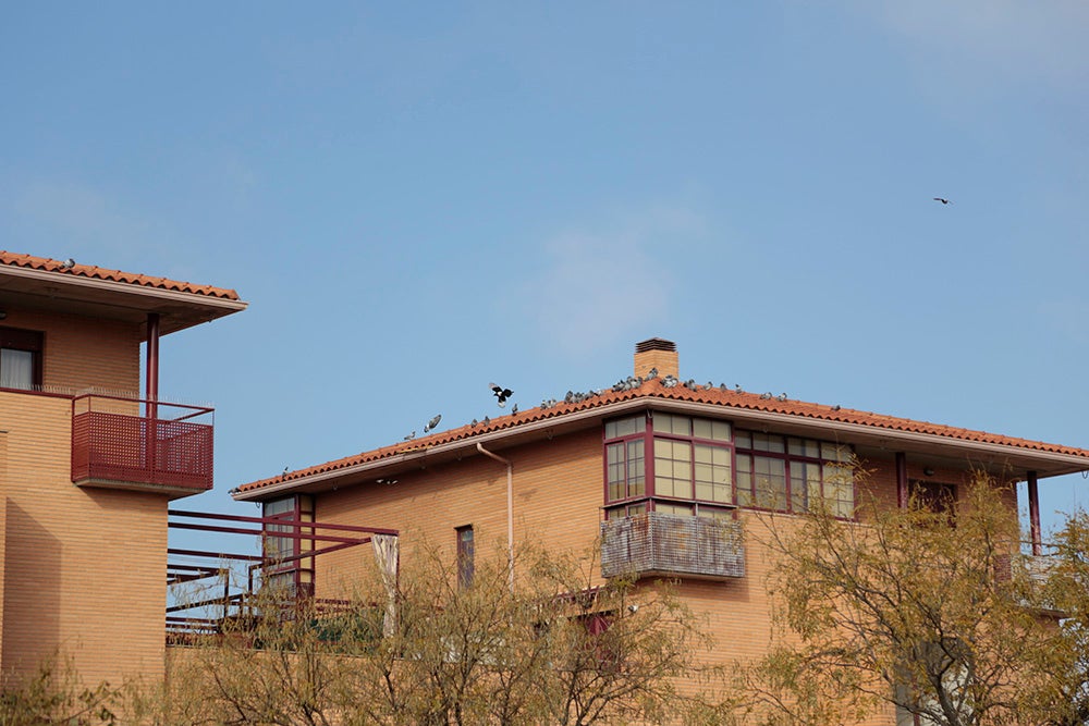 Fotos: Otra mirada a Salamanca (VI). Vistahemrosa