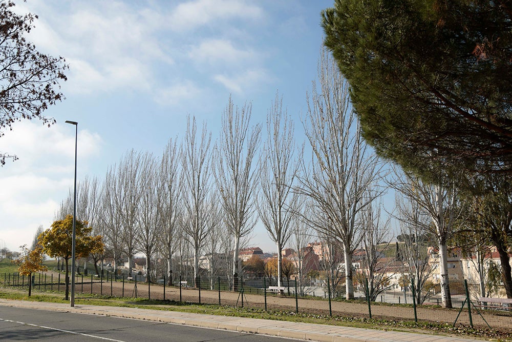 Fotos: Otra mirada a Salamanca (VI). Vistahemrosa