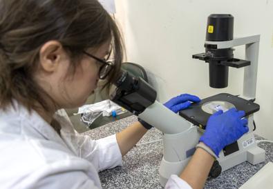 Imagen secundaria 1 - Arriba, Francisco López Hernández, coordinador e investigador del área de innovación del Ibsal