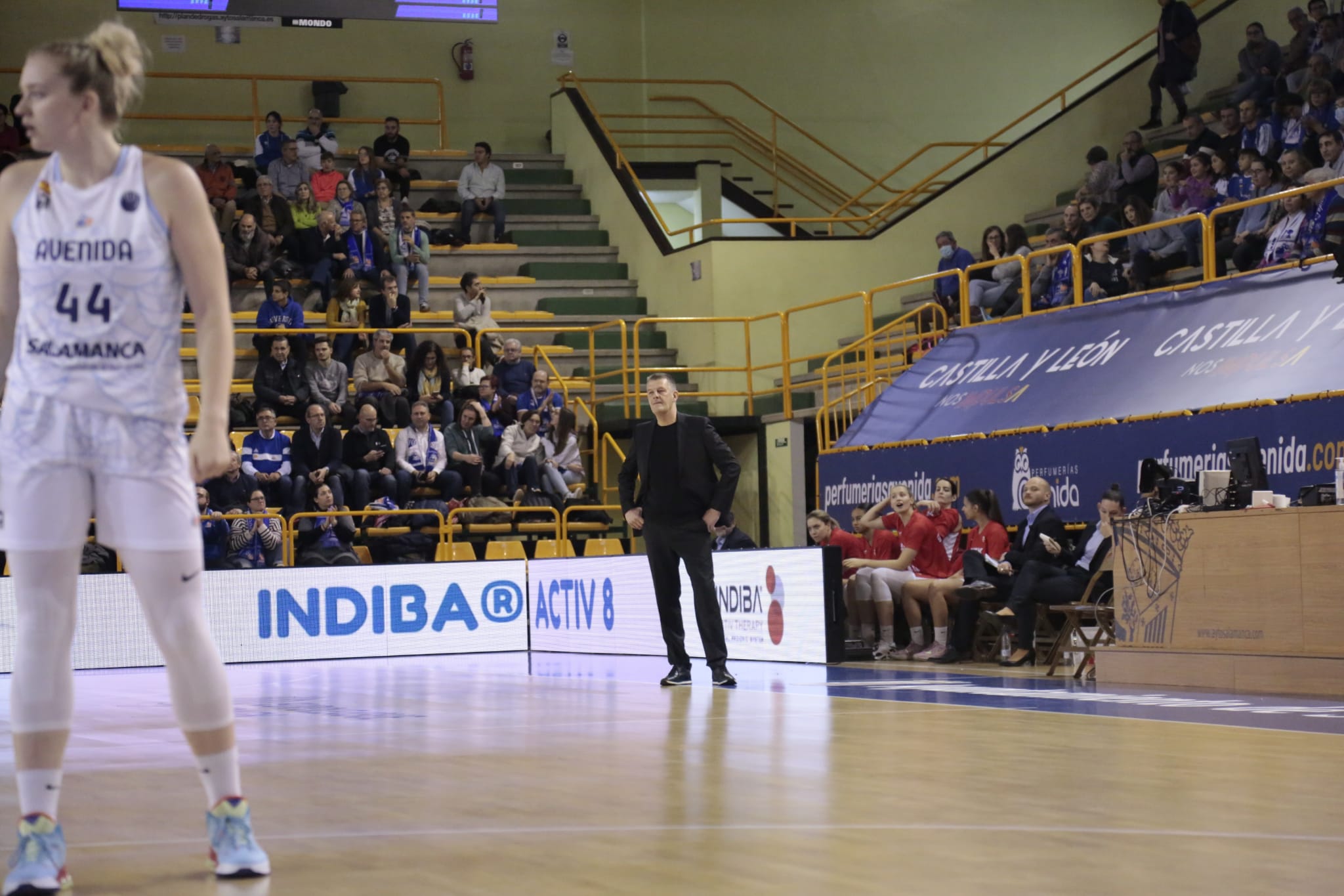 Fotos: Partido de Euroliga entre Avenida y DVTK