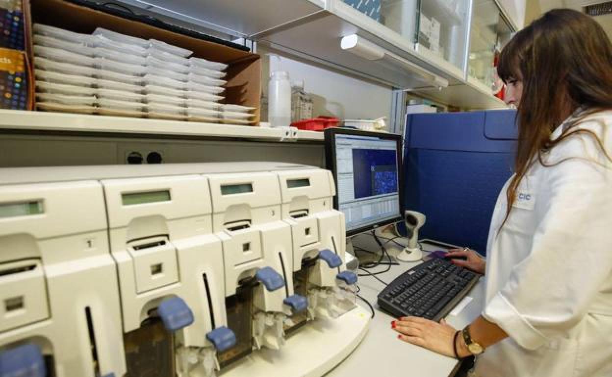 Una investigadora desarrolla su labor científica en un laboratorio de la USAL.