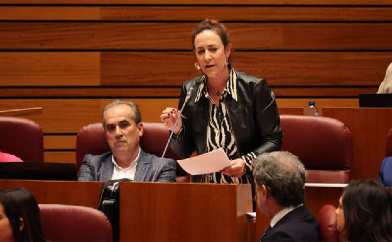 La procuradora del PSOE por Salamanca, Rosa Rubio. 