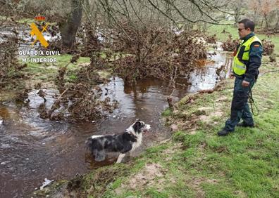 Imagen secundaria 1 - Así encontró la Guardia Civil el cuerpo sin vida del agente forestal desaparecido en Salamanca