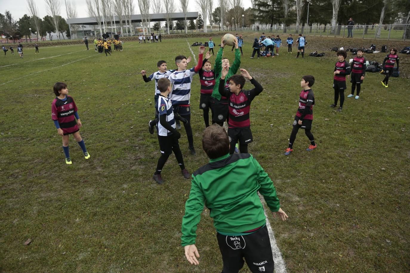 Fotos: III Festival de Escuelas de Rugby de Castilla y León en Salamanca