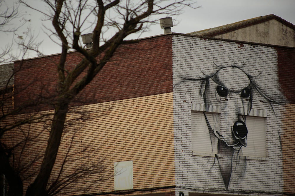 Fotos: Otra mirada a Salamanca. Zona Sur