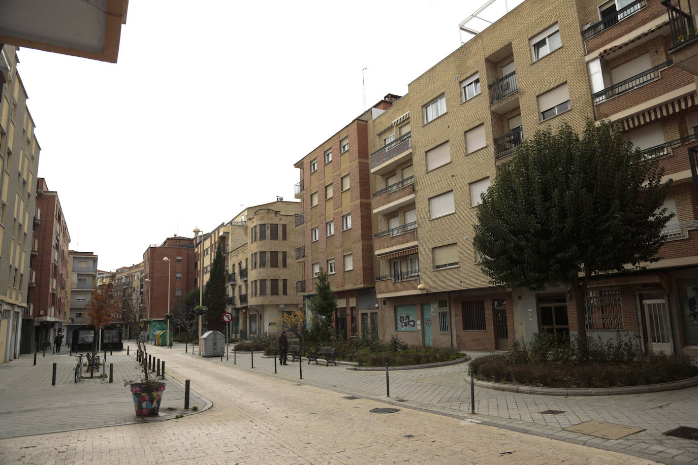 Fotos: ZOES reclama más vegetación y menos coches para el barrio del Oeste