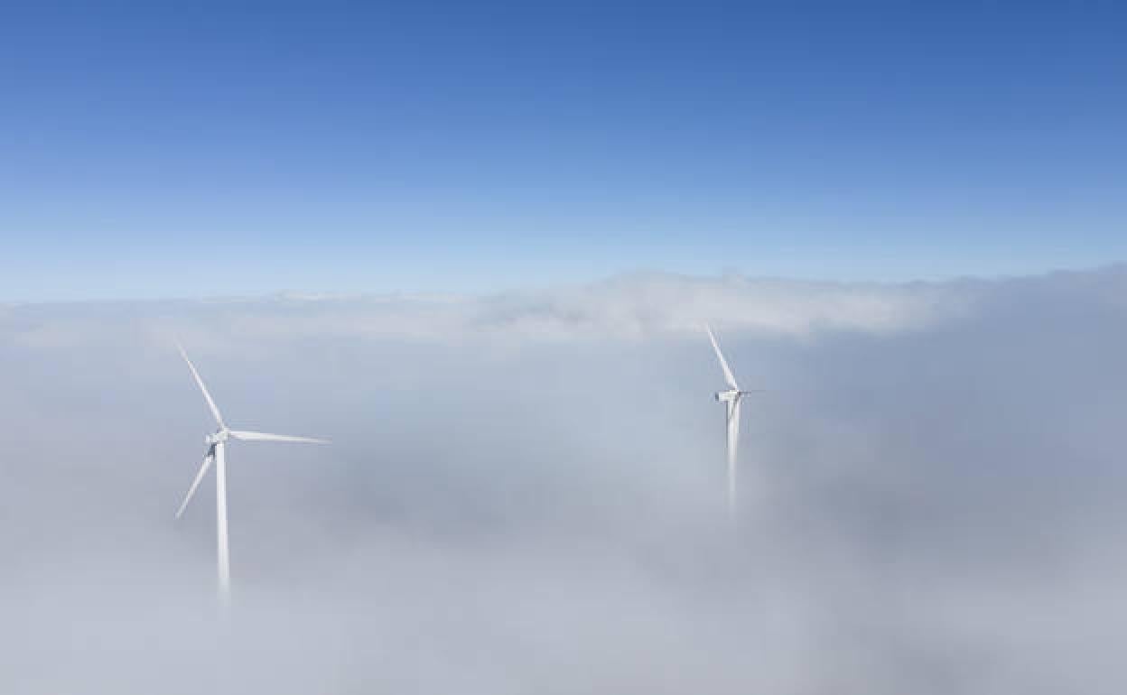 La niebla apenas dejar ver los molinos. 