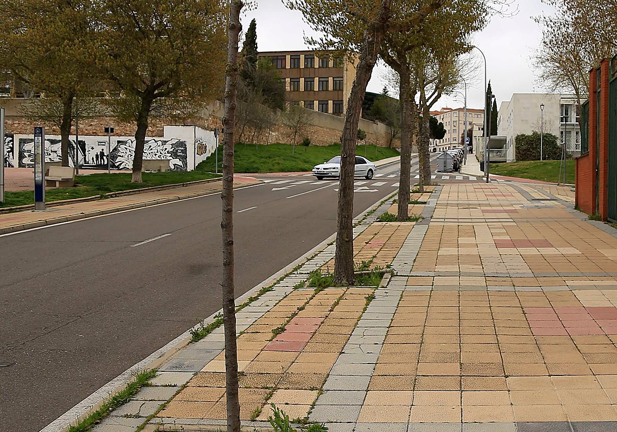 La asociación Prodesi pide más árboles para sombrear las calles en verano.