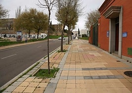 La asociación Prodesi pide más árboles para sombrear las calles en verano.