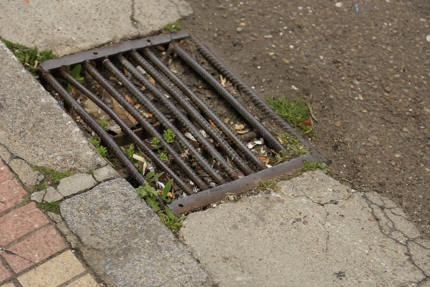 Prosperidad y Delicias reclaman más vegetación y movilidad peatonal