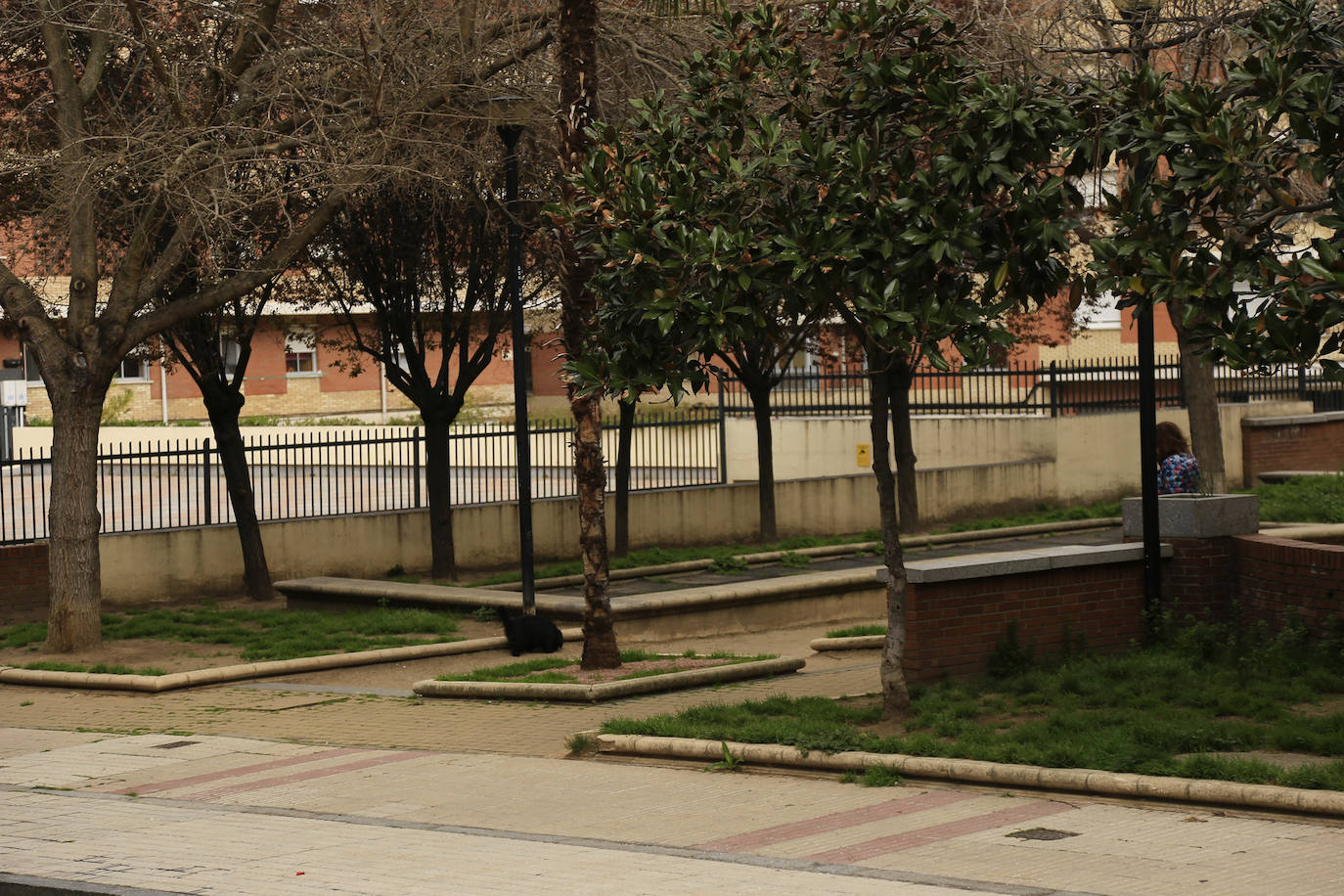 Prosperidad y Delicias reclaman más vegetación y movilidad peatonal