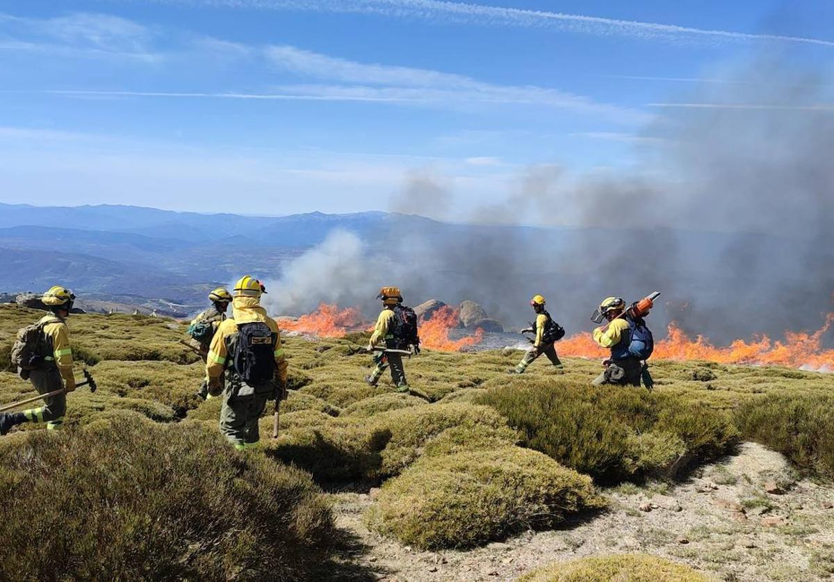 Los servicios de emergencia intentan sofocar el incendio.