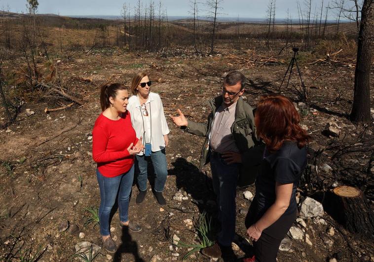 La zona afectada por el incendio de Monsagro recibe 900.000 euros para su restauración