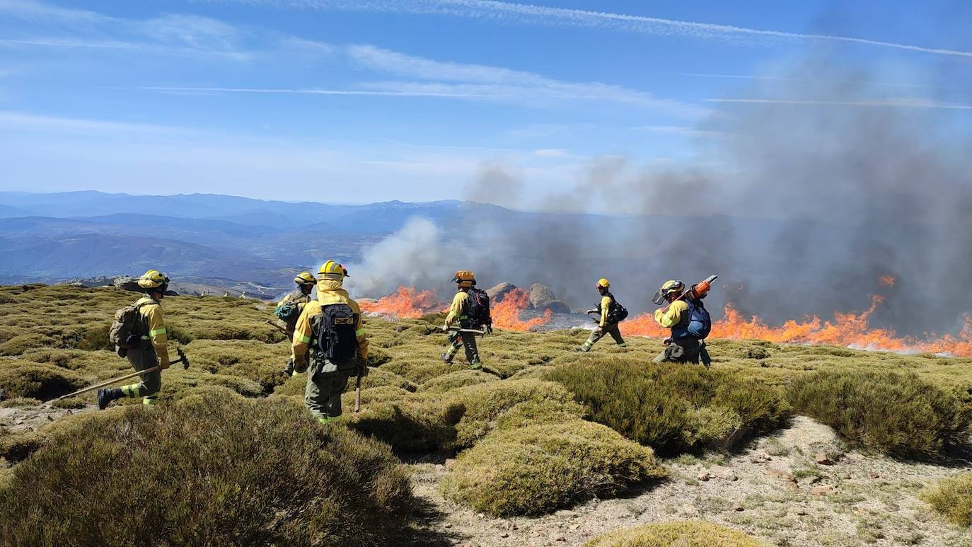 Un incendio forestal en Candelario, el primero del año