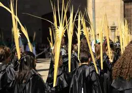 Los más pequeños de todas las cofradías y hermandades de la ciudad de Salamanca salen en la procesión de La Borriquilla.